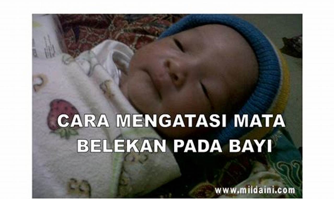 Cara Mengatasi Belekan Dengan Mudah Dan Efektif